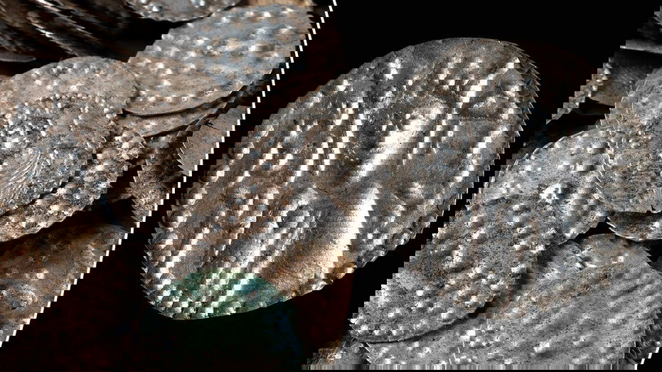 Angler digging for fishing worms uncovers massive medieval treasure in hidden cauldron