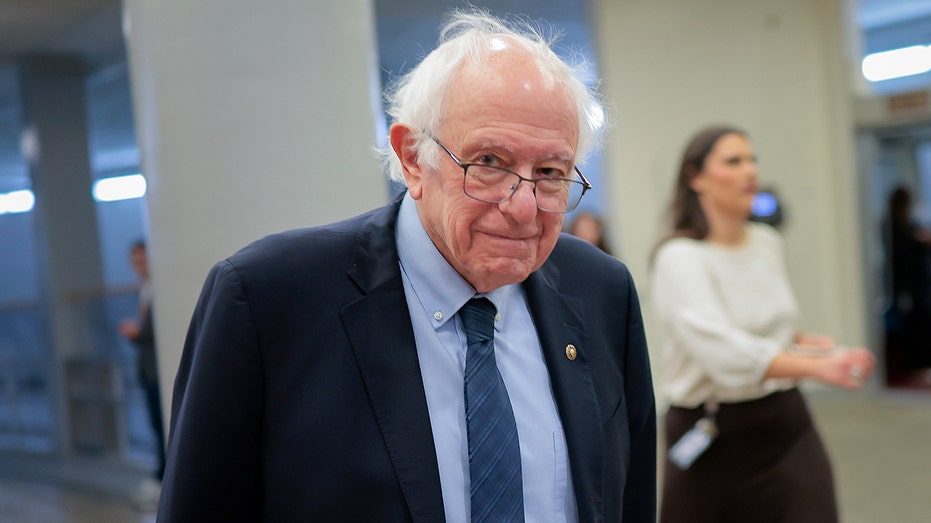 Bernie Sanders' anti-Netflix crusade hits the skids after filings expose awkward twist