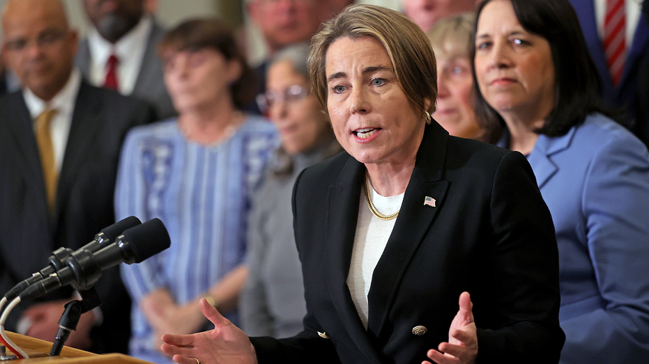 Blue state gov ignites online firestorm with plan to send gov't into homes of newborn babies: 'Lunatic libs'