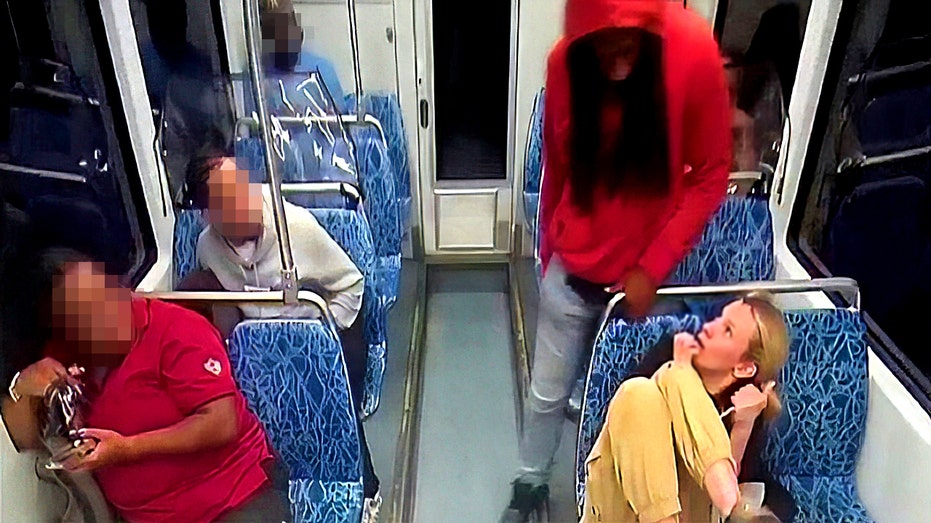Charlotte light-rail murder suspect ruled incompetent to stand trial as history of crazed claims trails case