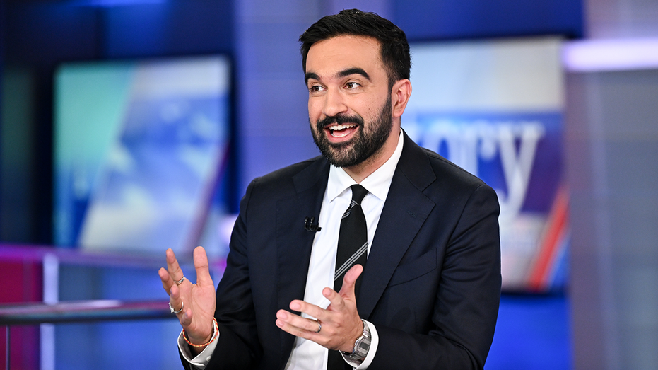 Clinton campaign alum urges Jeffries, Schumer not to 'take the bait,' get 'bullied' into Mamdani endorsement