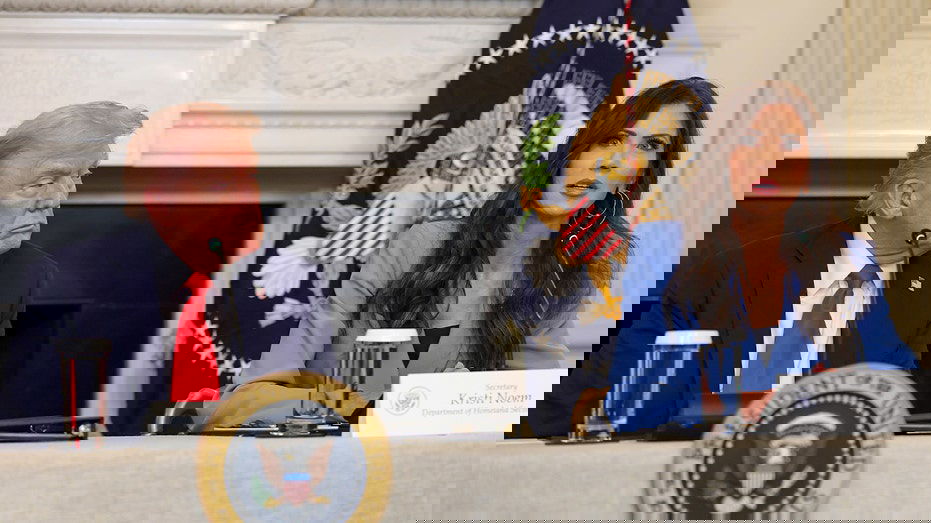 DHS packages latest ICE arrests as 'Christmas gift to Americans'