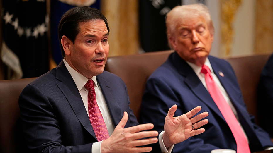 Federal judge blasts Rubio's 75-country visa freeze as 'Orwellian,' strikes down policy