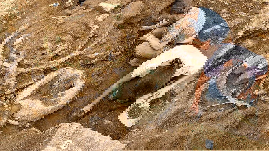 First of its kind wagon evidence uncovered in massive Iron Age treasure trove