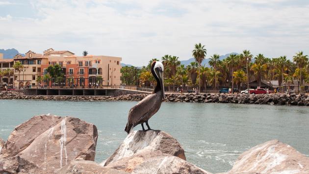 Five Sanctuaries of Natural Life in Mexico