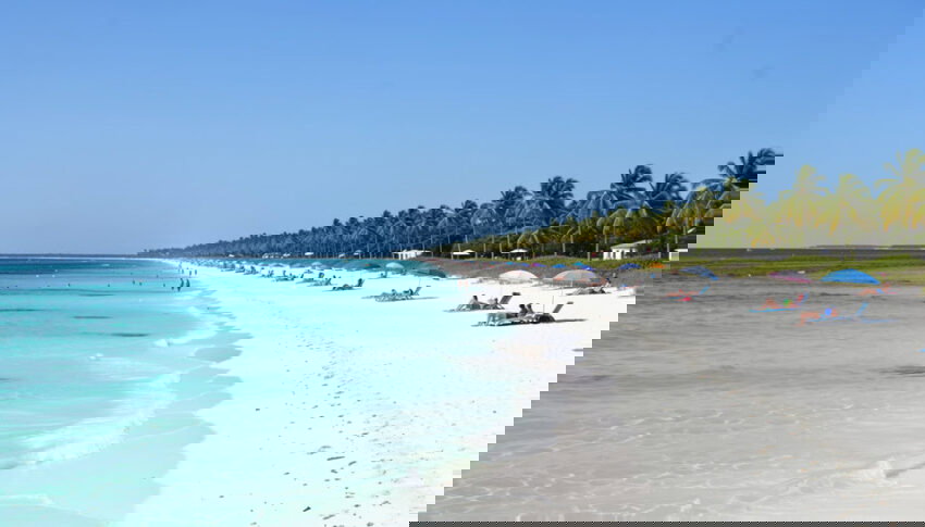 Florida Attracts Global Attention with Skyrocketing International and Domestic Tourism in 2025