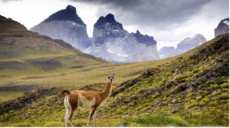 How Can Your Travels Contribute to Planetary Healing on Earth Day's 55th Anniversary?