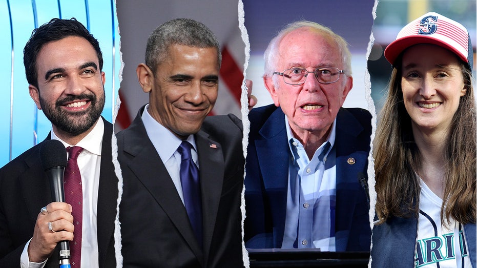 How the 'long march' through the institutions led to socialist takeover of Dem Party: 'Need to wake up'