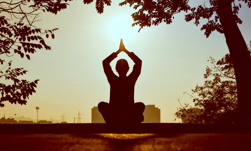 Kerala Tourism Minister Launches Prestigious Ayurveda Conclave to Boost Wellness Sector