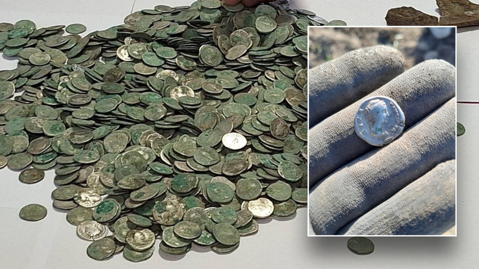 Man stumbles across hoard of priceless coins while out for nature walk: 'Face to face with history'