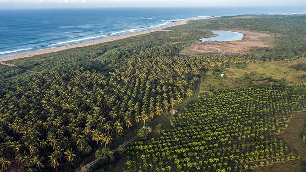 Meet Xala, a New Sustainable Development in Mexico