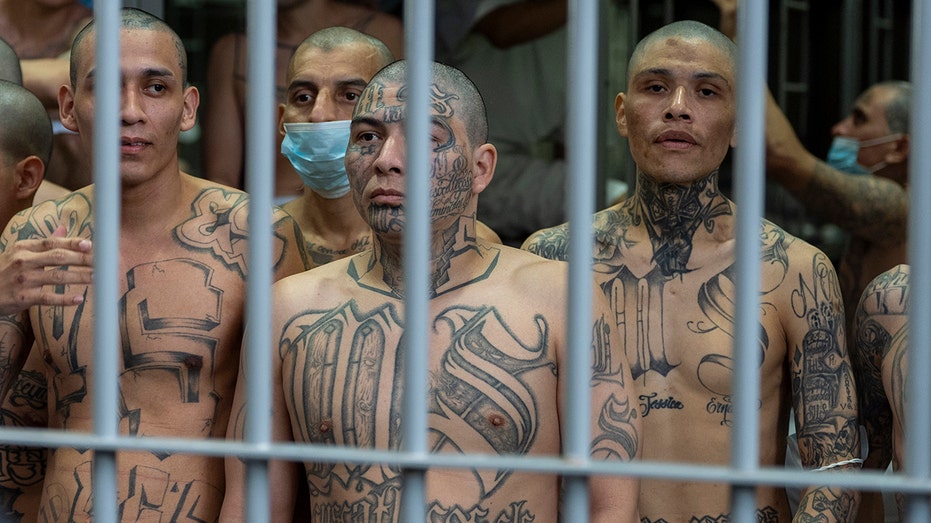 More than 25 charged in nationwide Tren de Aragua crackdown involving guns, drugs and cash