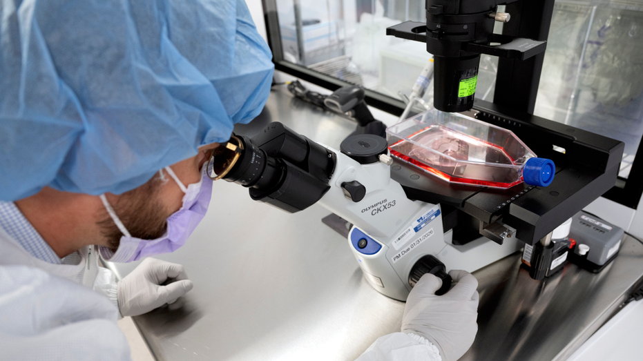 New cancer tech sends chemo straight to tumors