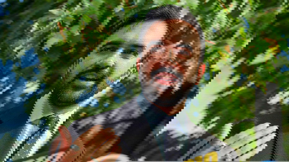 New poll reveals Mamdani still holds commanding double-digit lead over rivals in NYC mayoral race