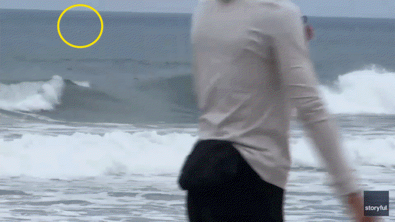 Shark Week shocker as great white breaches just yards from oblivious boogie boarder