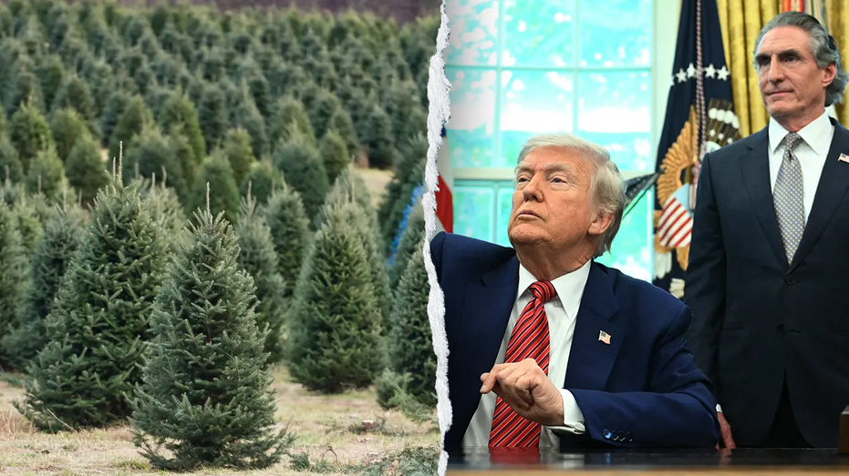 Top Trump department rolls out Christmas tree savings plan: 'Making this season brighter'