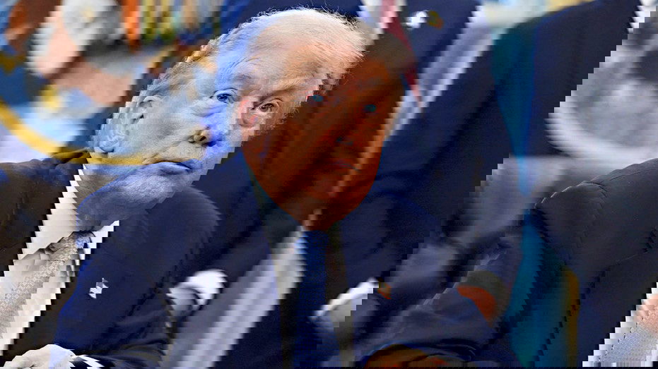 Trump labels 6 Democrats who told troops to refuse unlawful orders 'traitors' who should be arrested