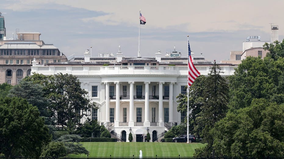 Trump plan taps US firms to fight foreign cybercrime