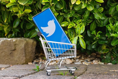 Twitter's Survival as a Subscription Service Depends on Apple and Google