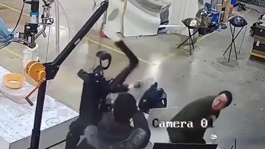 Viral rogue robot sparks new AI safety fears