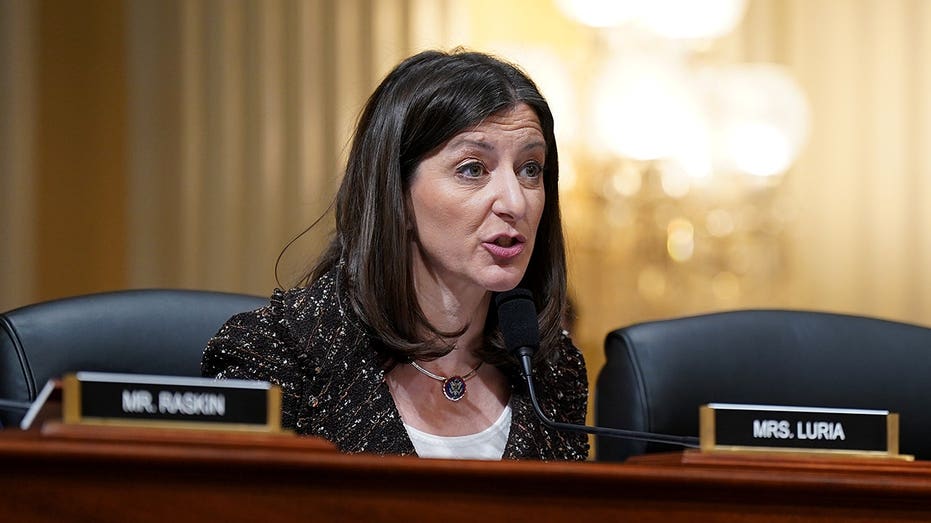 Virginia voters cement swing district rematch after Dems' redistricting fail