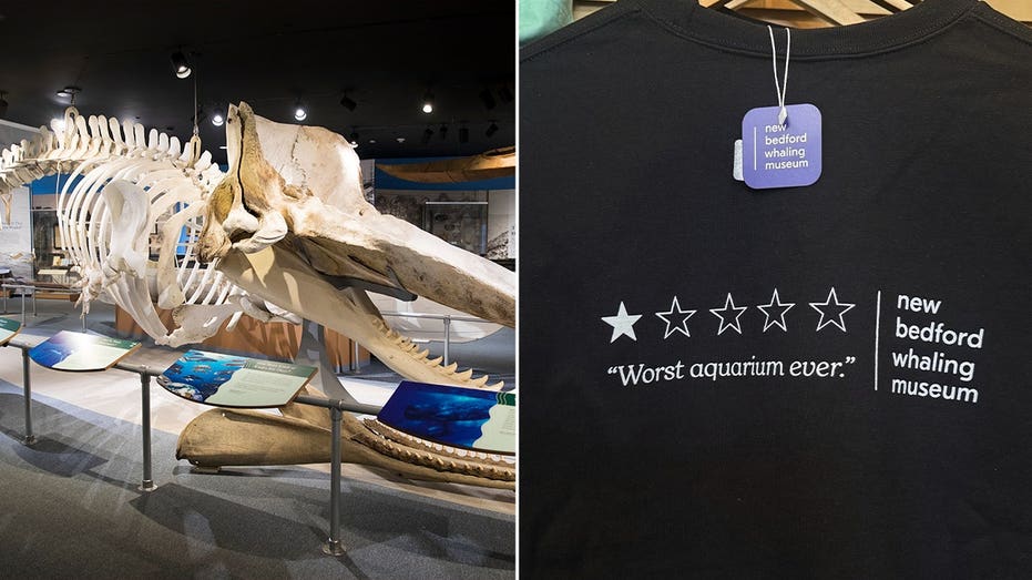 'Worst aquarium ever' review sends whaling museum's sales soaring 250%